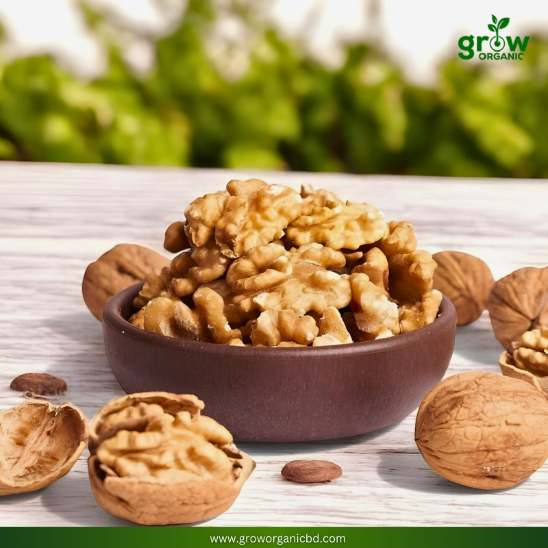 আখরোট/Walnut