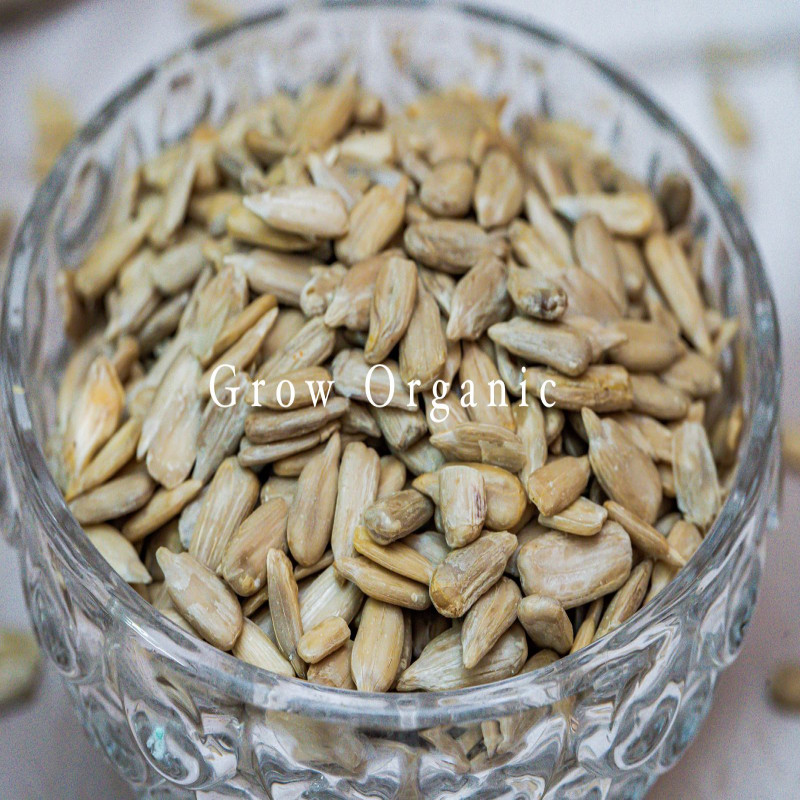 Raw Sunflower Seed(সূর্যমুখী বিজ)