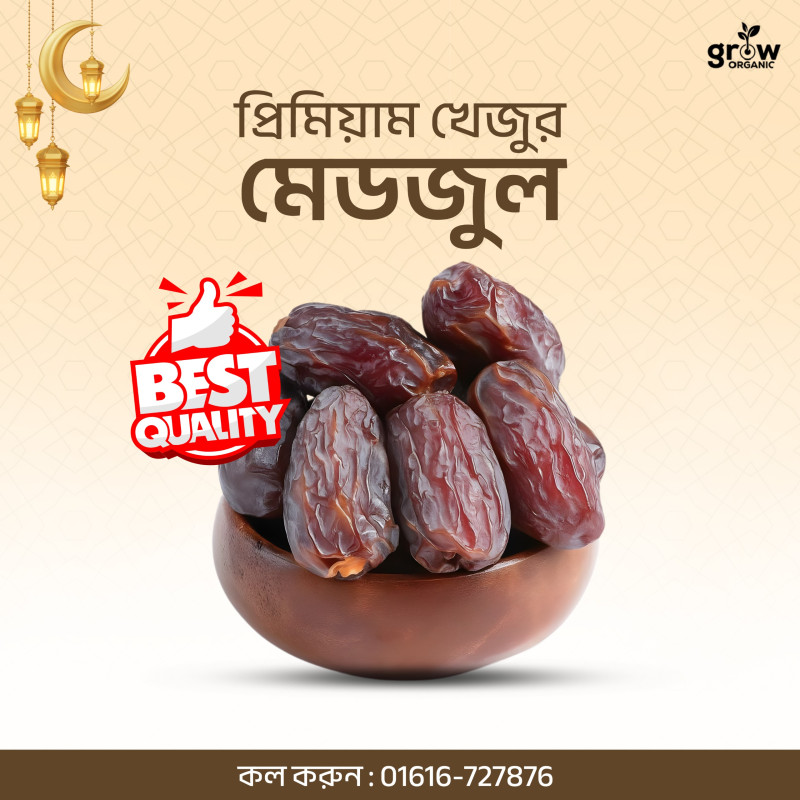 400gm Mix Khejur